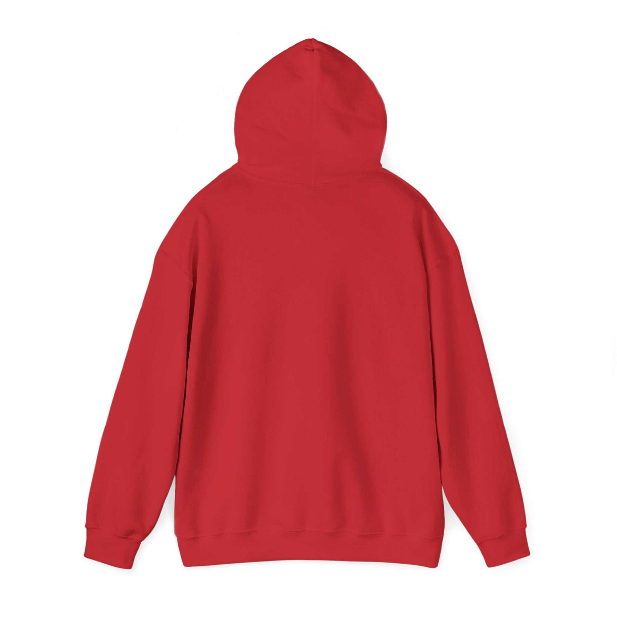Blood and Guts 2.0 Hoodie — Minimal Graphic Statement Sweatshirt
